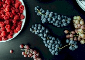 Resweratrol szansą na zdrowe kości u dzieci po chemioterapii